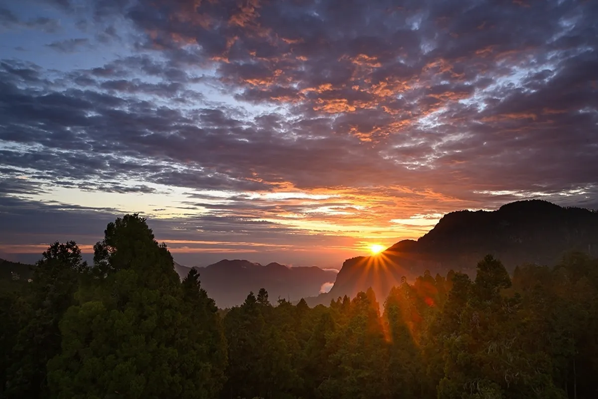 Alishan House — rooms and atmosphere