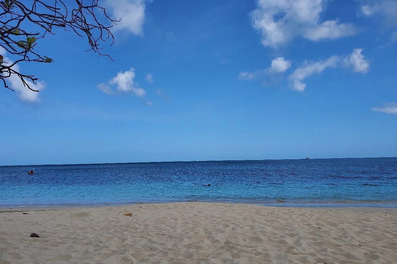 Allamanda Beach Resort — ภาพห้องพักและบรรยากาศ