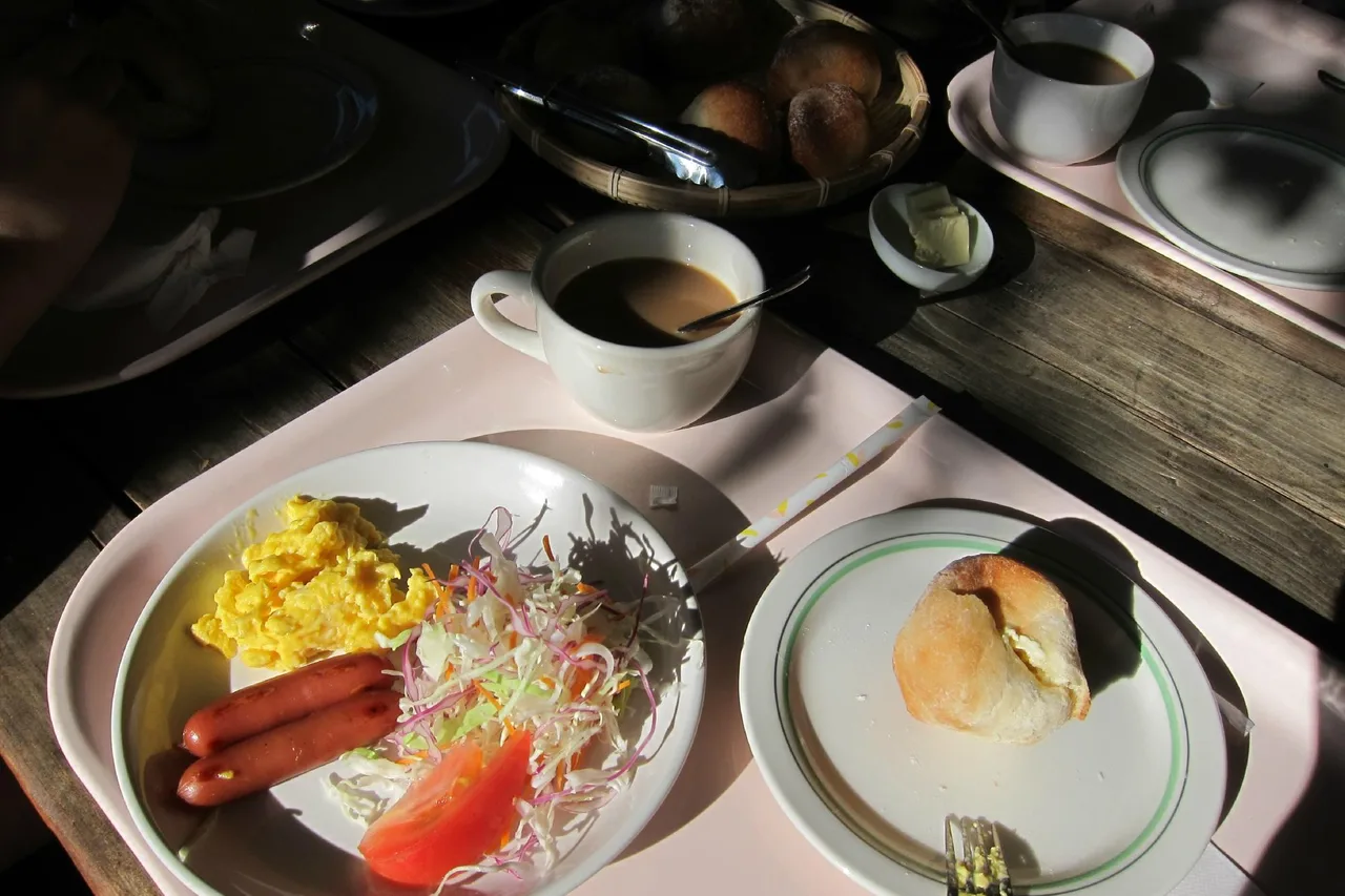 Alpine Backpackers — 酒店