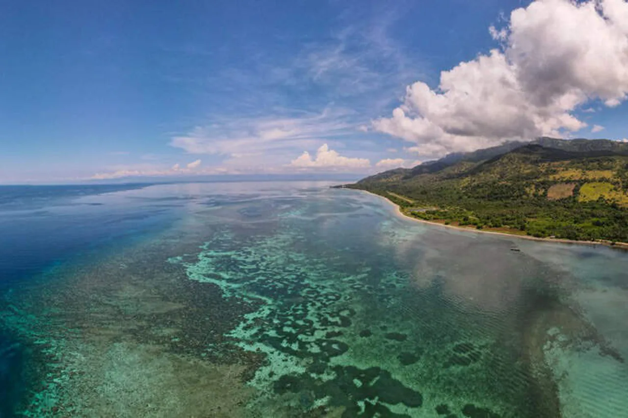 Atauro Dive Resort — 酒店