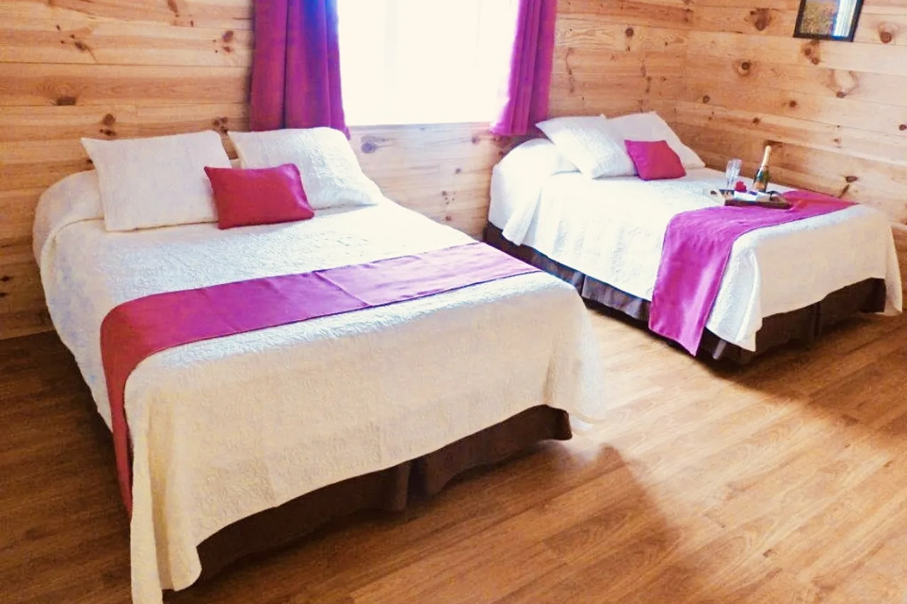 Auberge de l'Île — ภาพห้องพักและบรรยากาศ