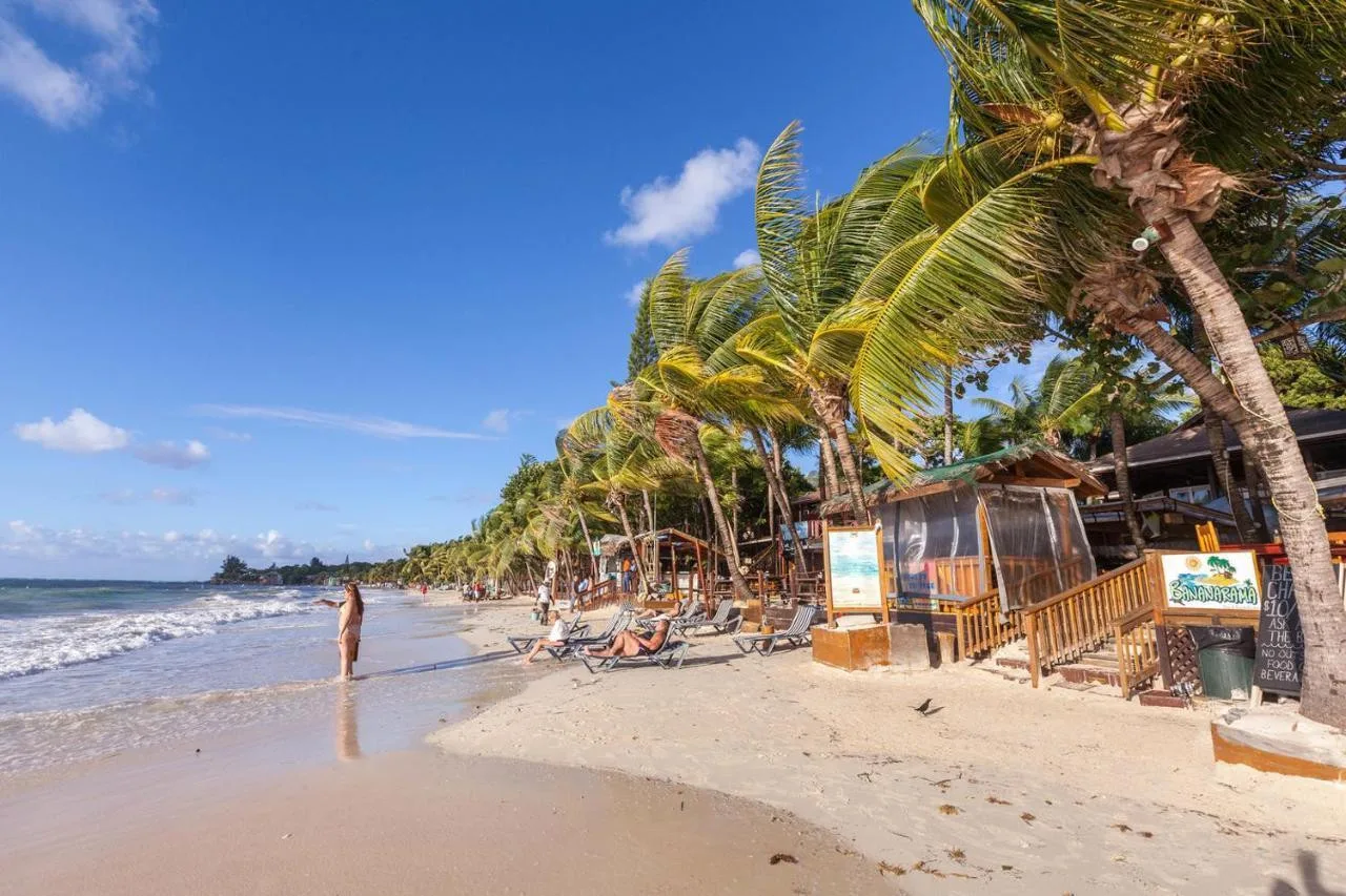 Bananarama Dive & Beach Resort — ภาพห้องพักและบรรยากาศ