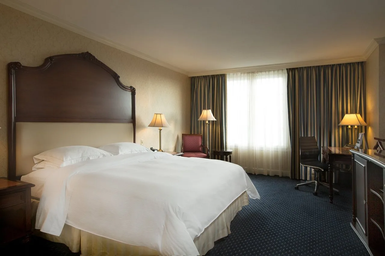 Barceló San Salvador — ภาพห้องพักและบรรยากาศ