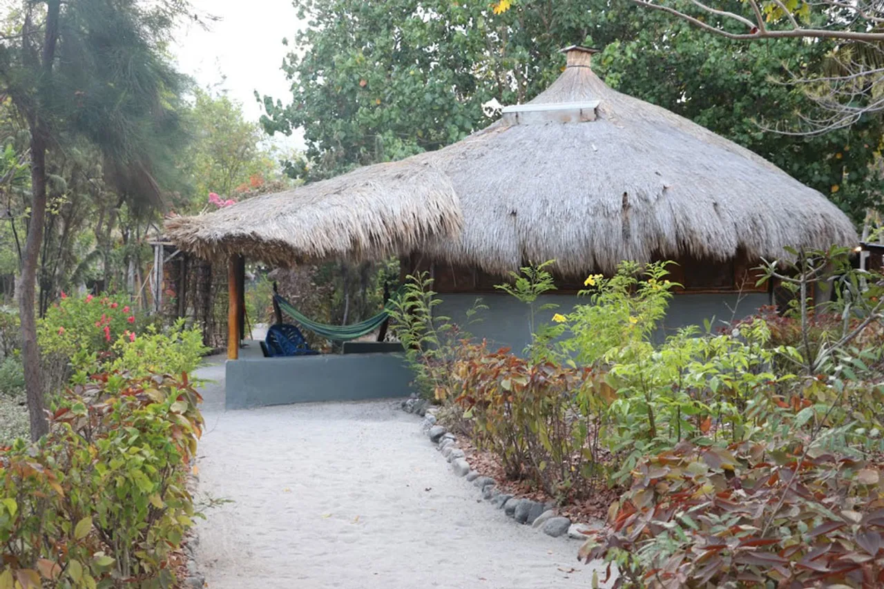 Barry's Eco-Lodge — ภาพห้องพักและบรรยากาศ