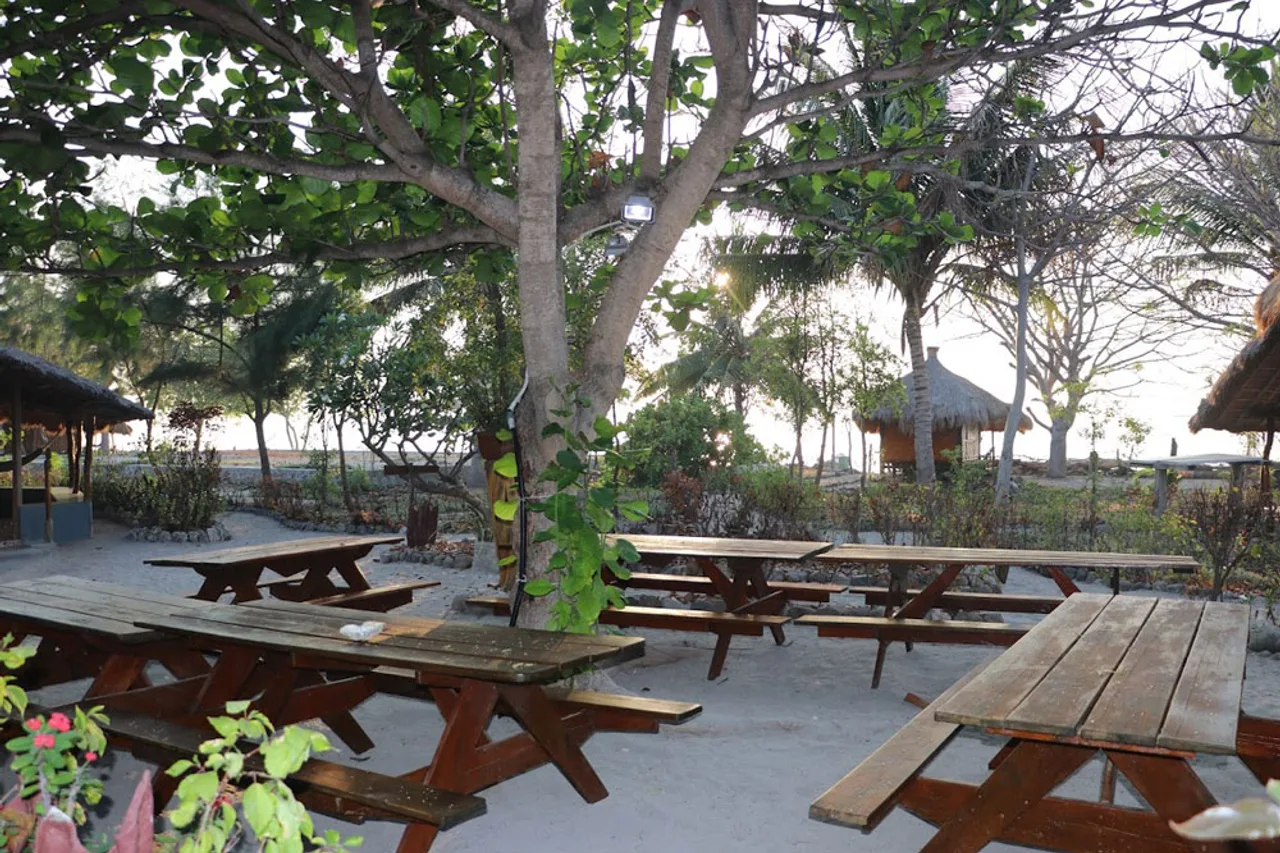 Barry's Eco-Lodge — ภาพห้องพักและบรรยากาศ