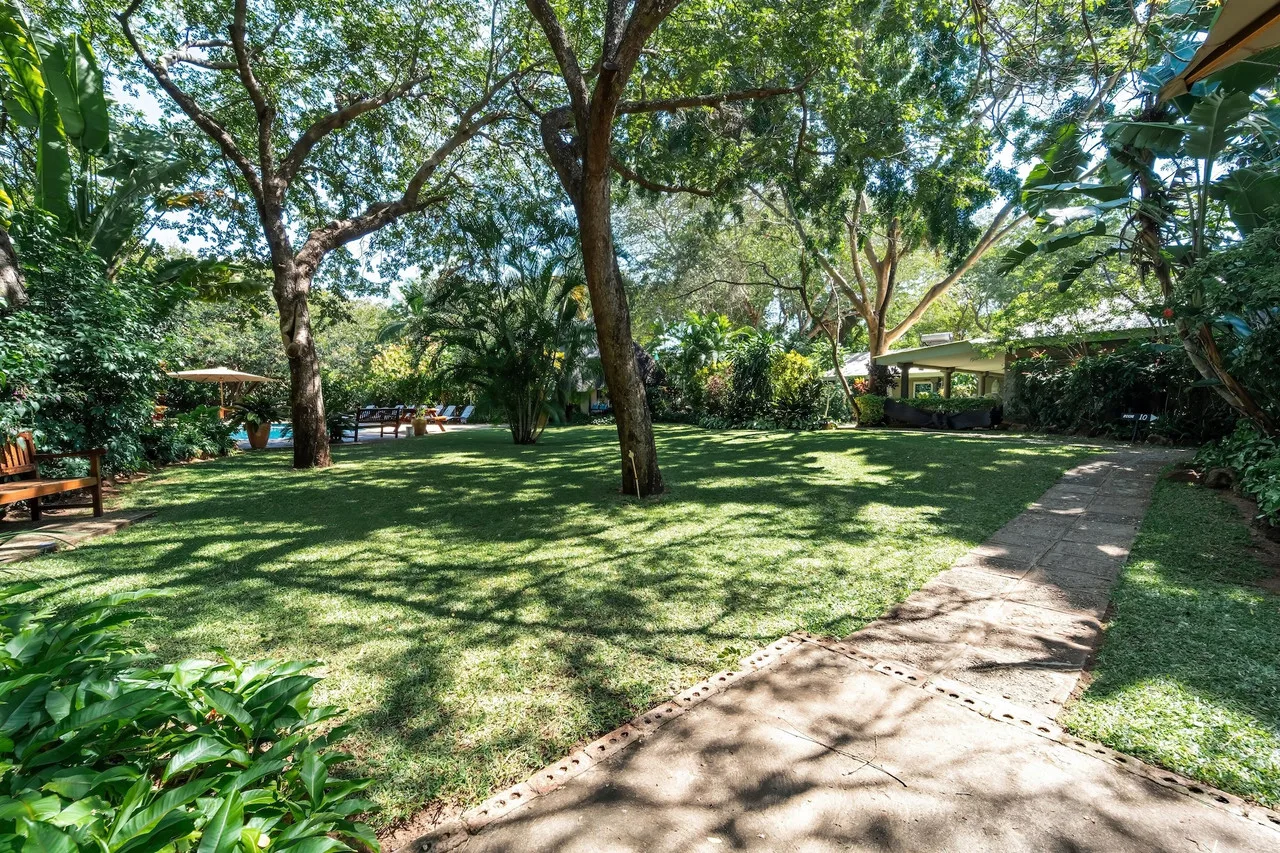 Bayete Guest Lodge — ภาพห้องพักและบรรยากาศ