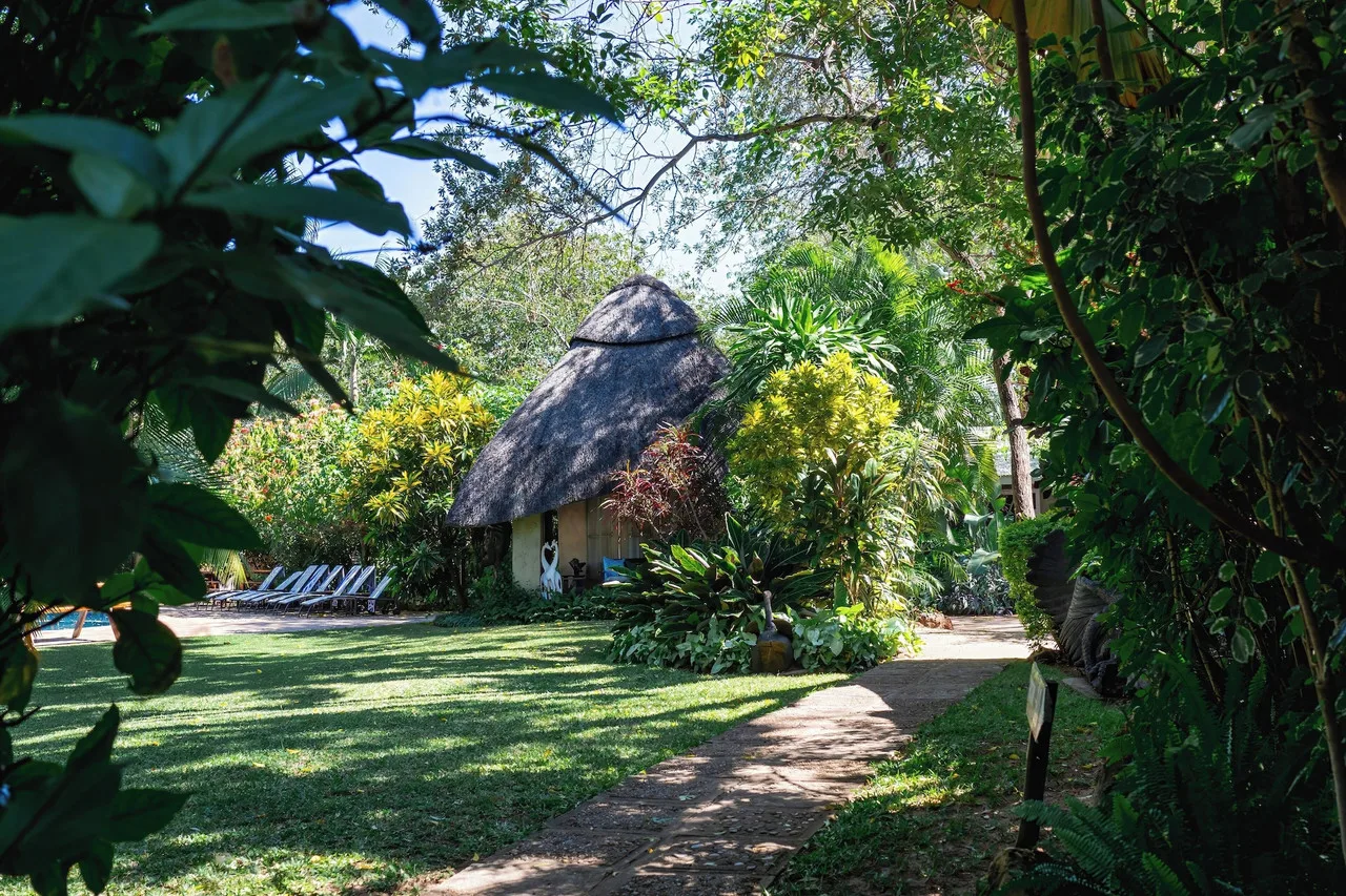 Bayete Guest Lodge — ภาพห้องพักและบรรยากาศ