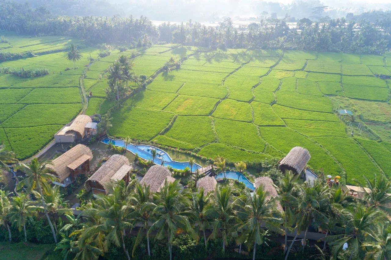 Beehouse Dijiwa Ubud — ภาพห้องพักและบรรยากาศ