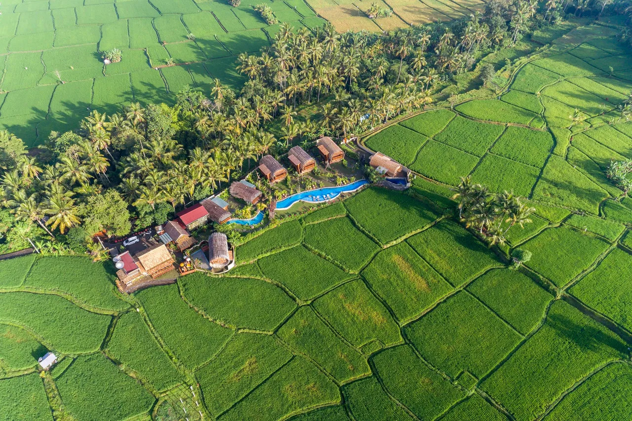 Beehouse Dijiwa Ubud — ภาพห้องพักและบรรยากาศ
