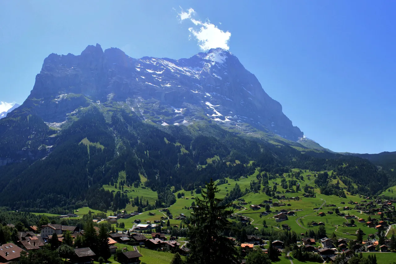 Belvedere Swiss Quality Hotel — rooms and atmosphere