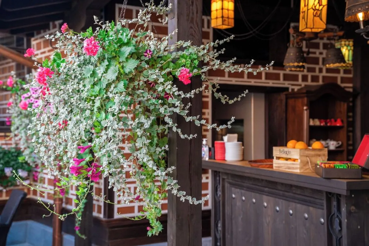 Bey House Royal Hotel — ภาพห้องพักและบรรยากาศ