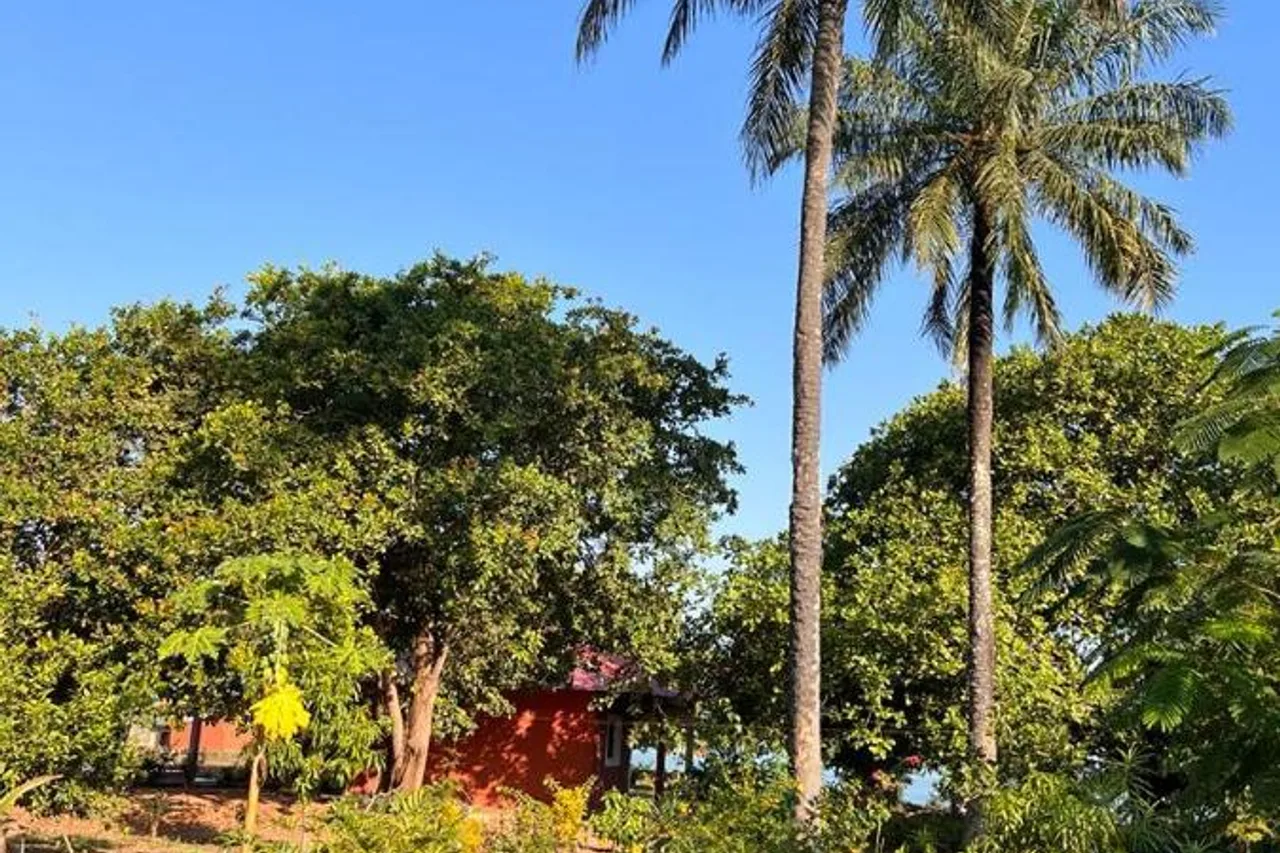 Bij Club — ภาพห้องพักและบรรยากาศ