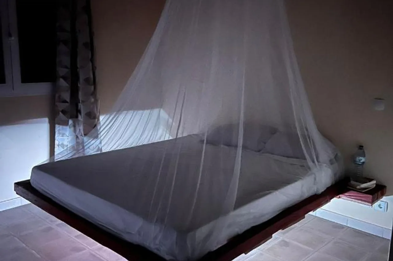 Bij Club — ภาพห้องพักและบรรยากาศ