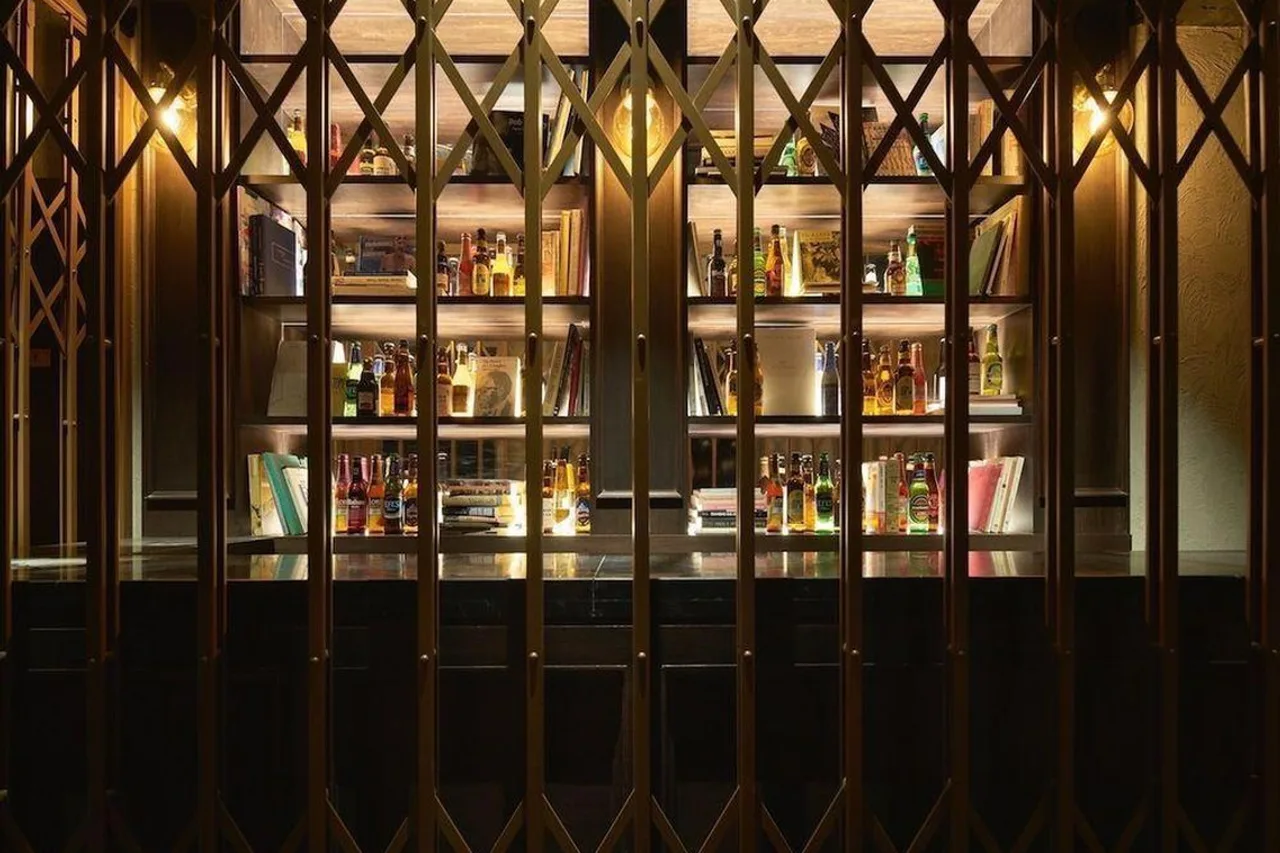 Book and Bed Tokyo Ikebukuro — rooms and atmosphere