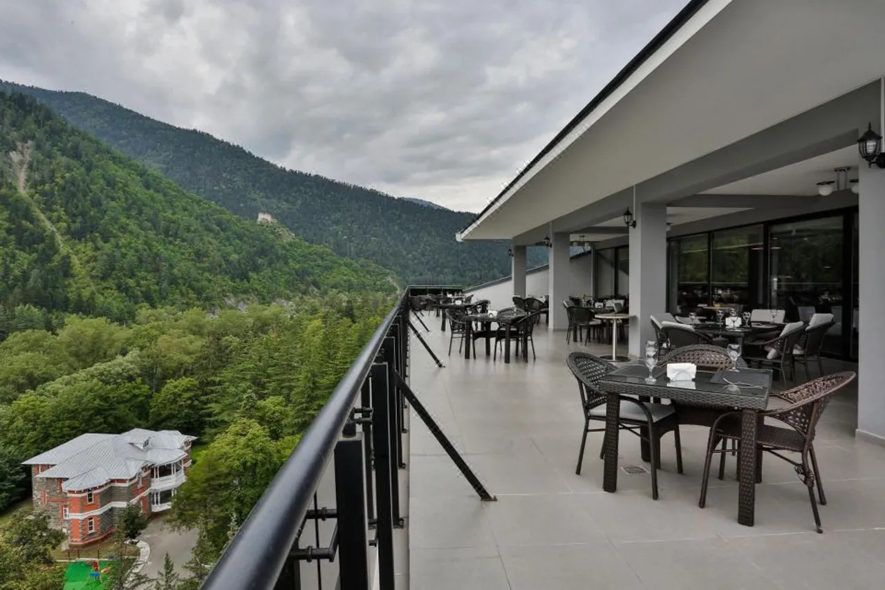 Borjomi Likani Health & Spa Centre — ภาพห้องพักและบรรยากาศ