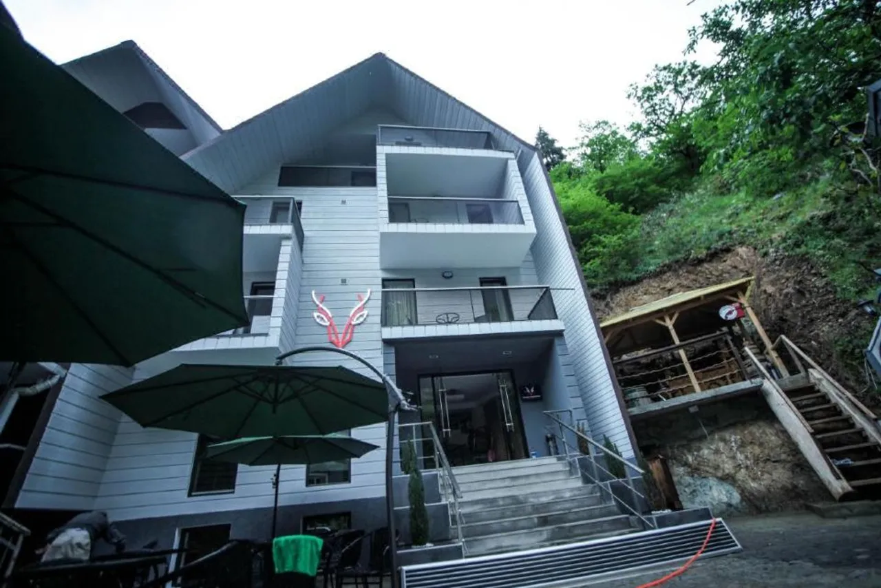 Borjomi UnderWood — ภาพห้องพักและบรรยากาศ
