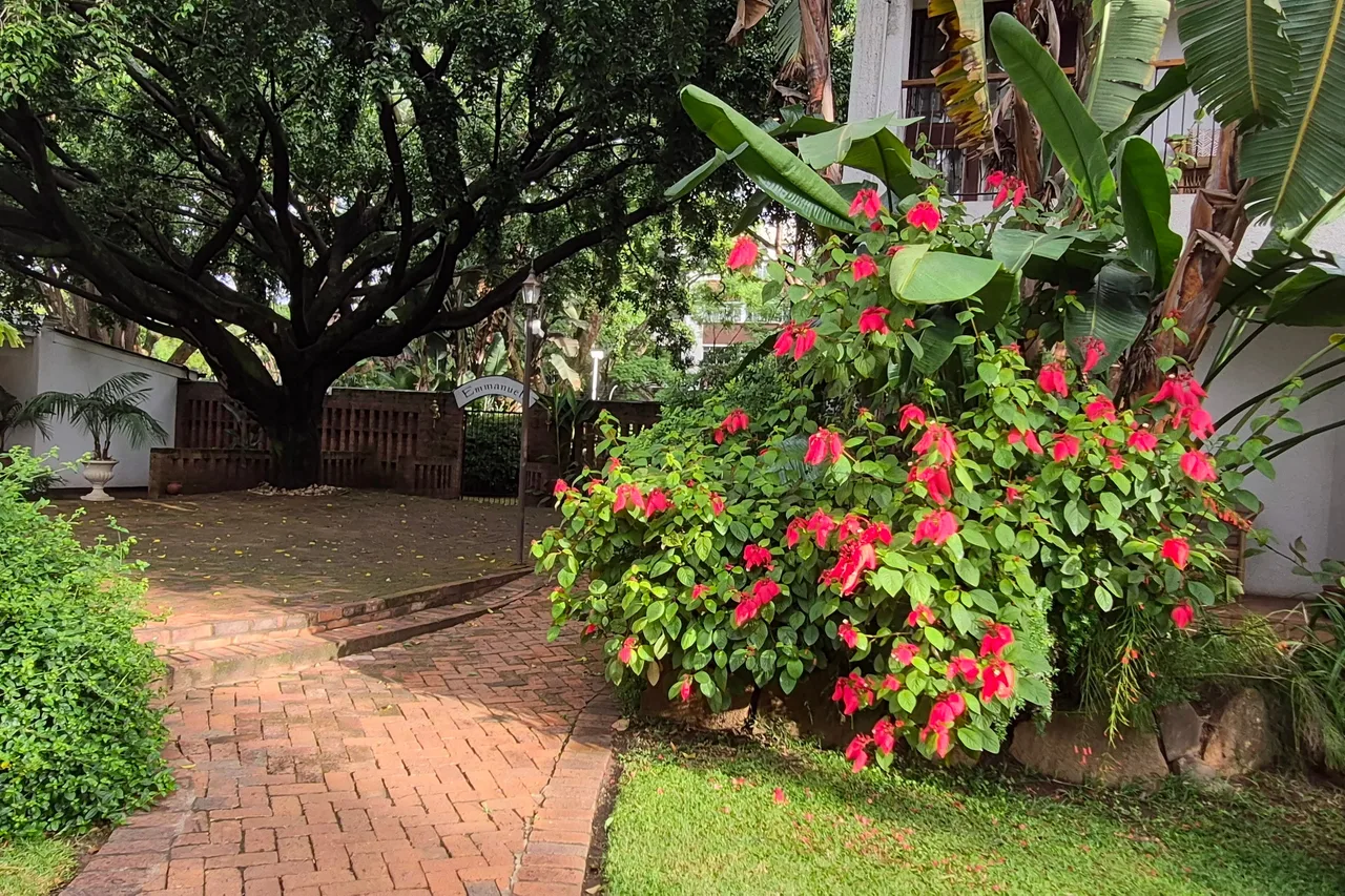 Bronte Garden Hotel — ภาพห้องพักและบรรยากาศ