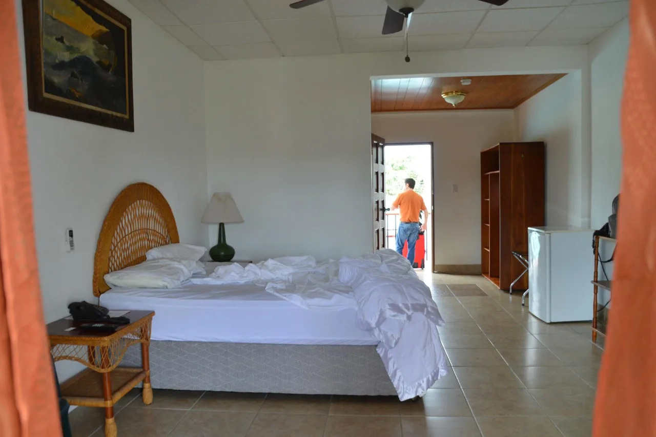 Bull Frog Inn — ภาพห้องพักและบรรยากาศ