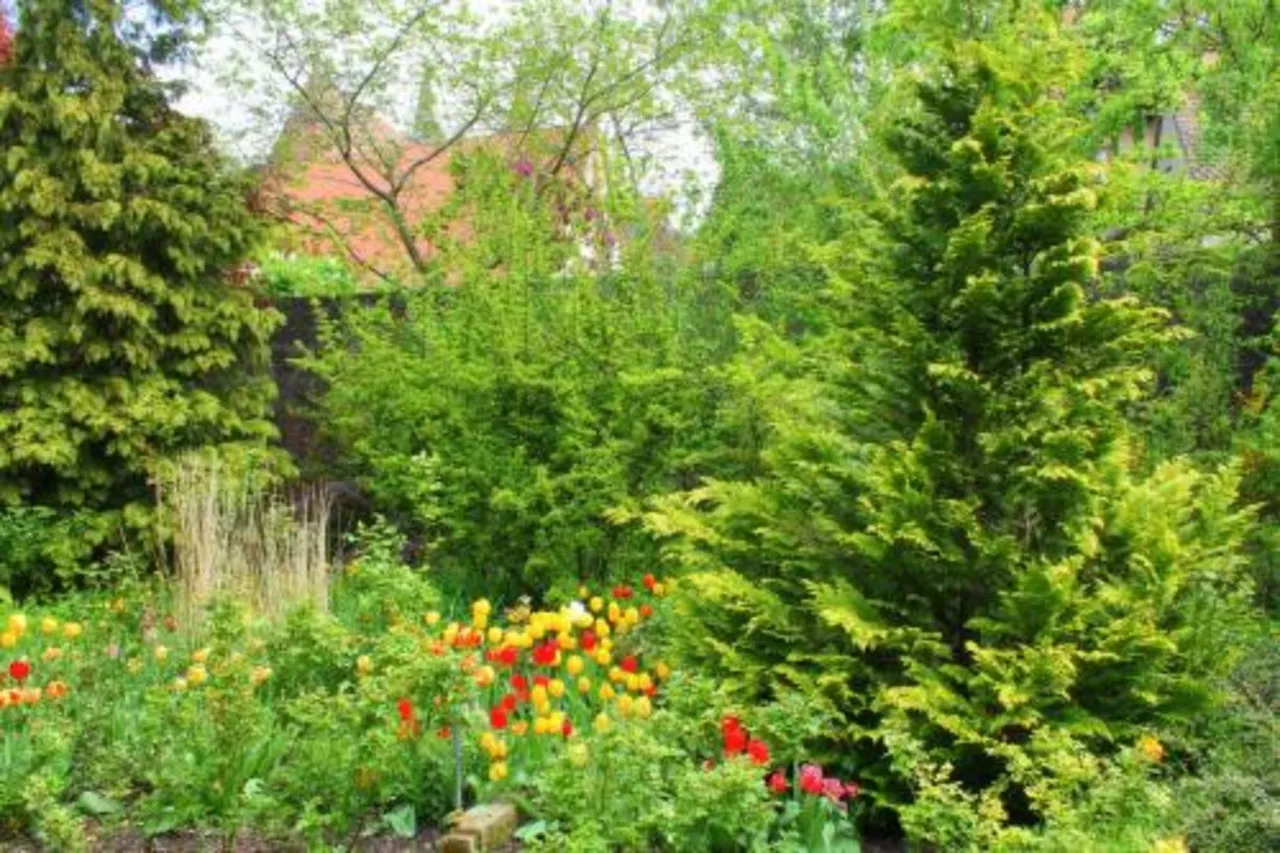 BurgGartenpalais Rothenburg — rooms and atmosphere