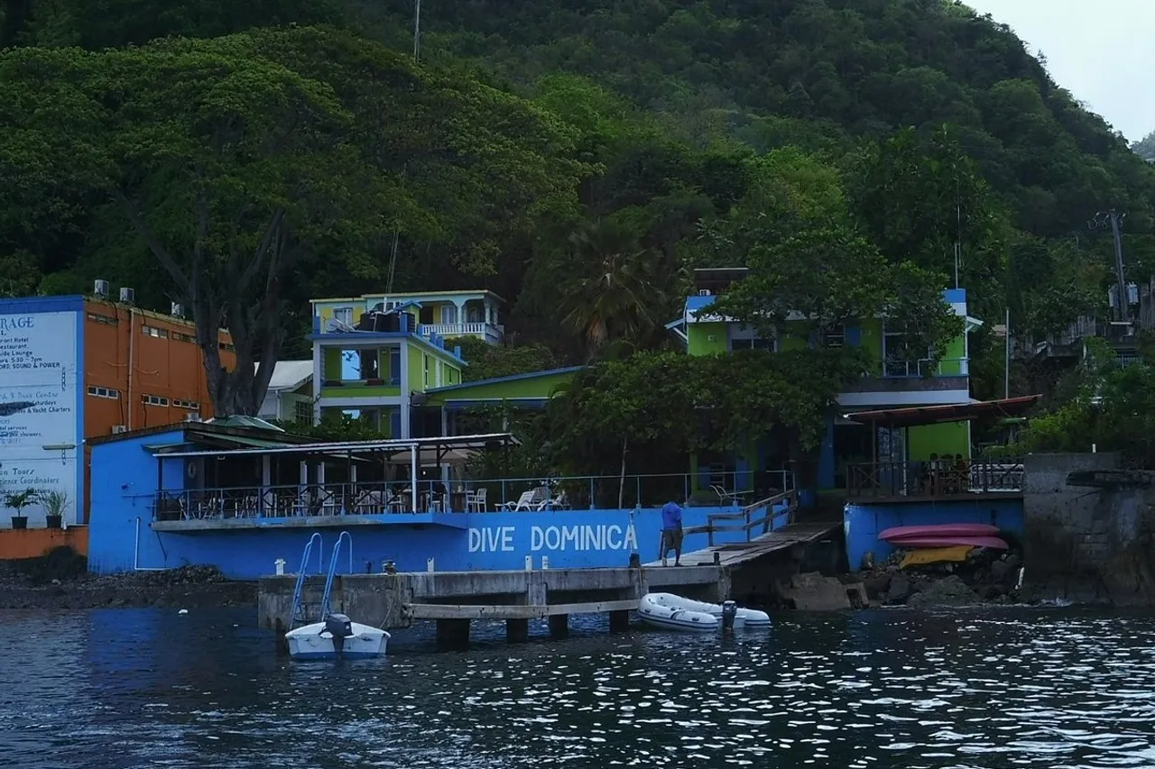 Castle Comfort Dive Lodge — rooms and atmosphere