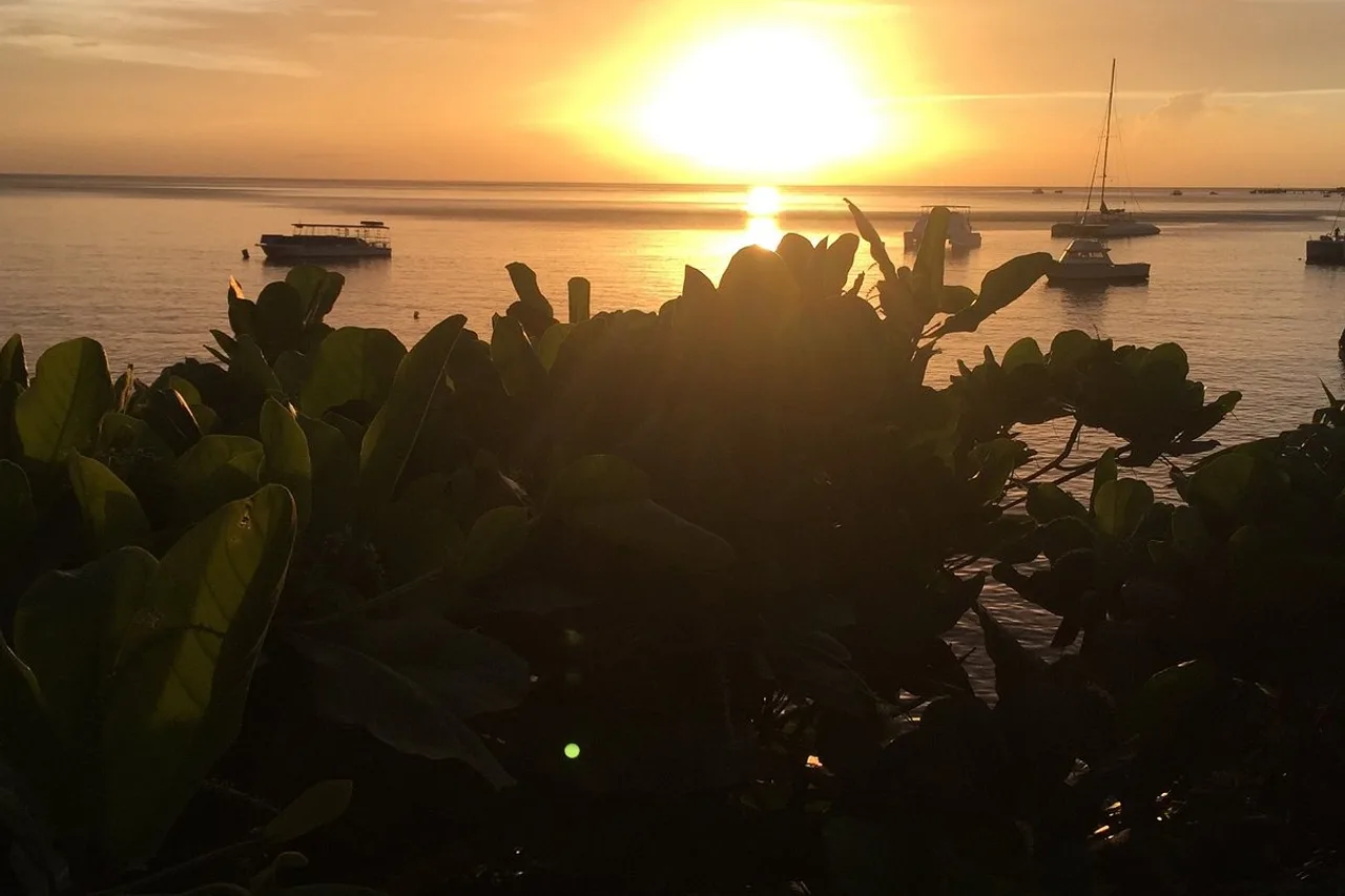 Castle Comfort Dive Lodge — rooms and atmosphere