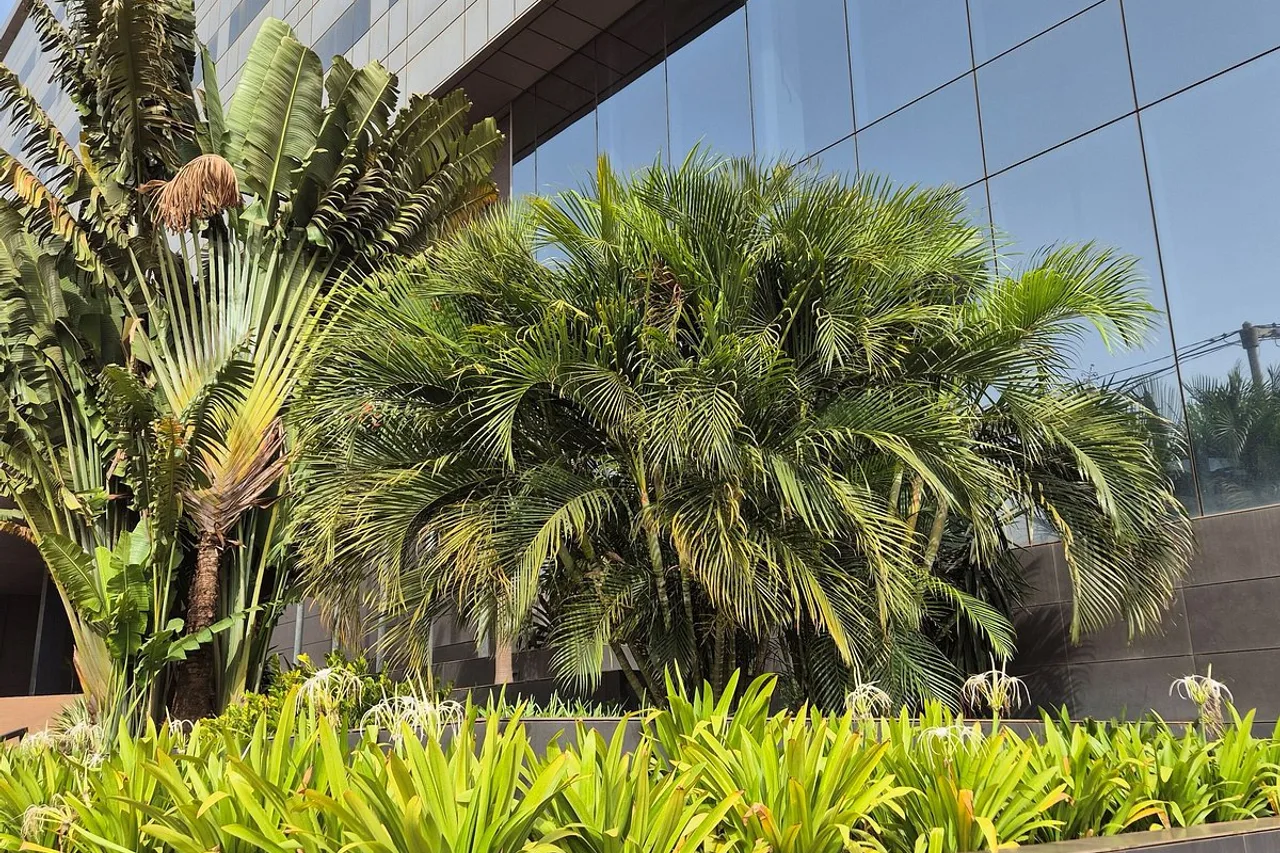Ceiba Hotel Bissau — rooms and atmosphere