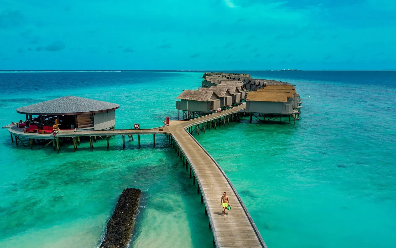 Centara Ras Fushi Resort & Spa Maldives — ภาพห้องพักและบรรยากาศ