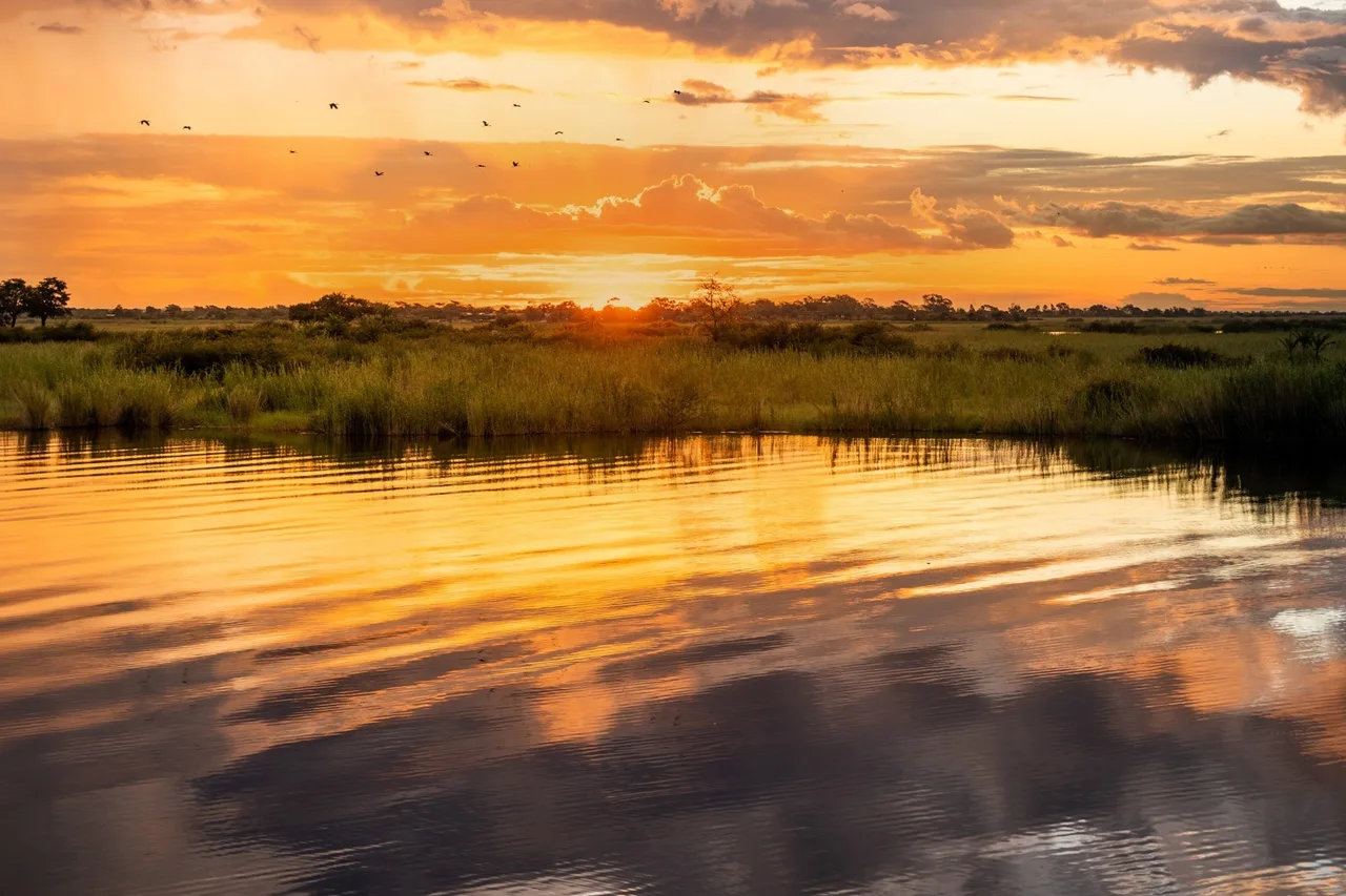 Chobe Safari Lodge — คาซาเน