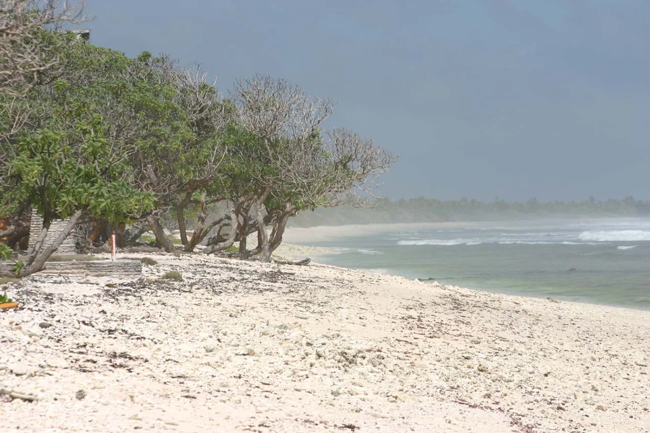 Christmas Island Hotel — ภาพห้องพักและบรรยากาศ