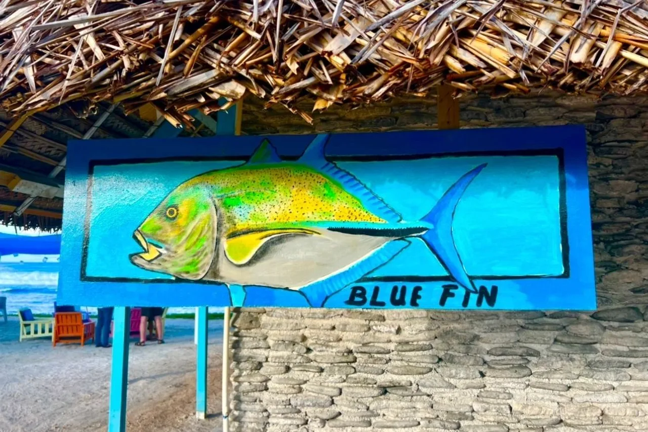 Christmas Island Lodge — ภาพห้องพักและบรรยากาศ