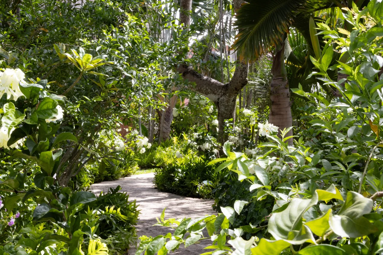 Cobblers Cove — ภาพห้องพักและบรรยากาศ