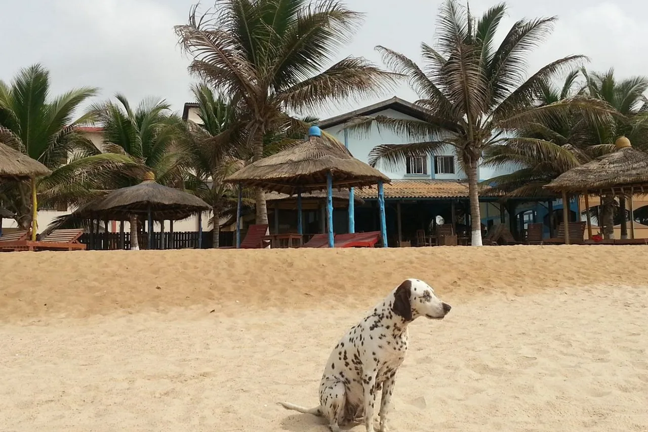 Coco Beach Hotel Aneho — ภาพห้องพักและบรรยากาศ