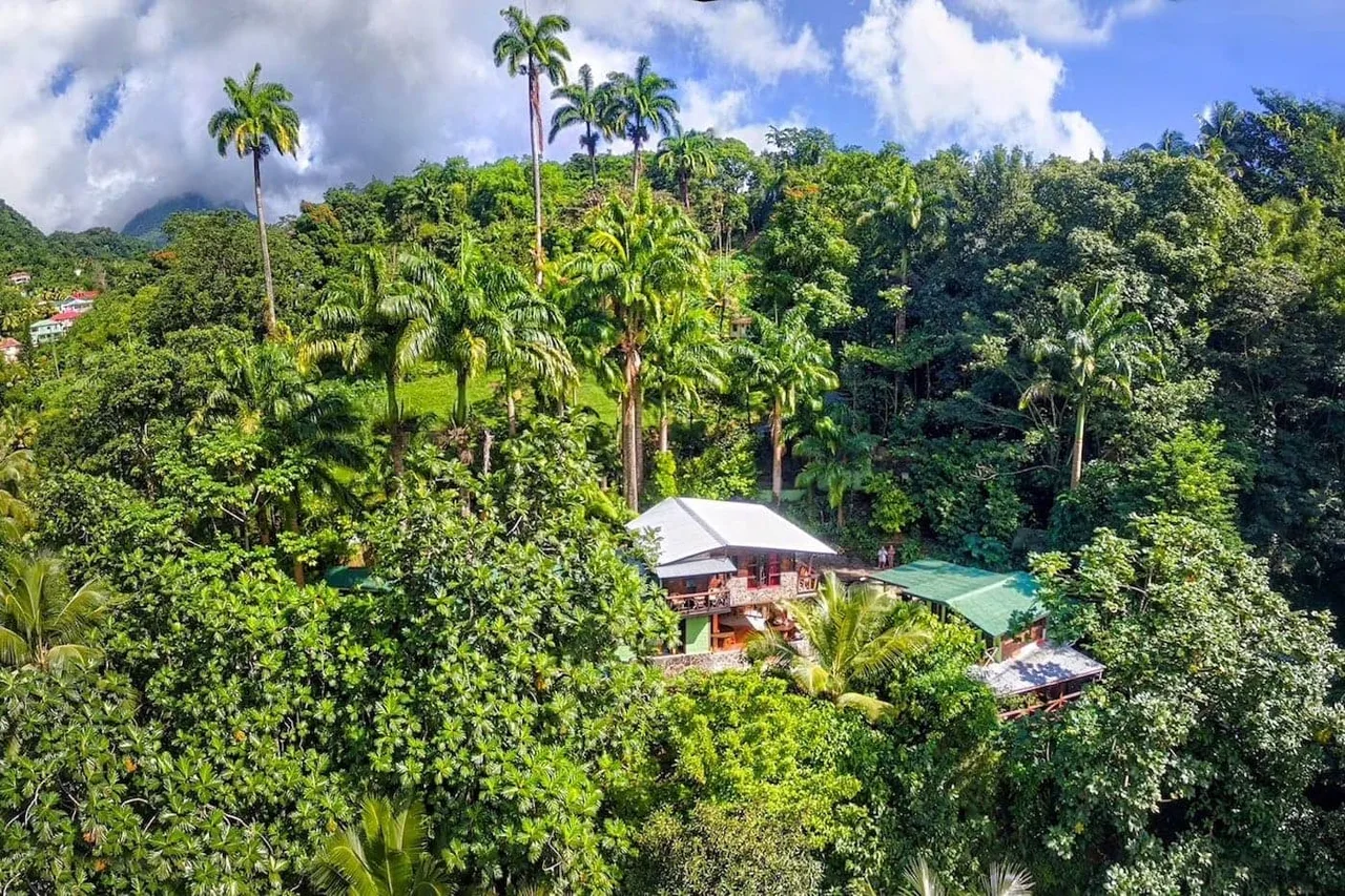 Cocoa Cottage — โรงแรมในโรโซ
