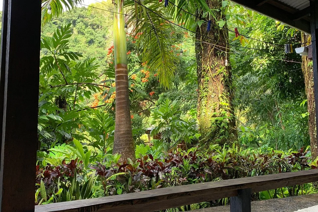Cocoa Cottage — ภาพห้องพักและบรรยากาศ