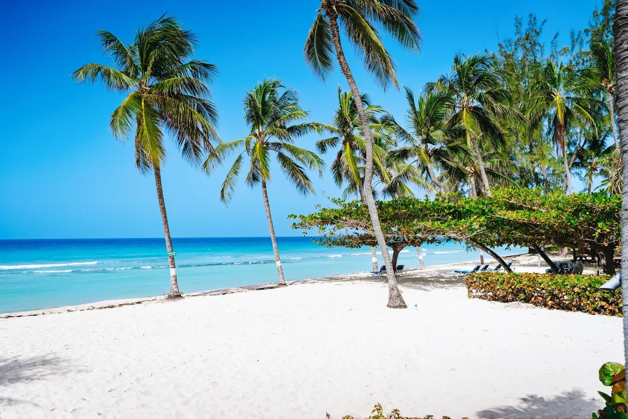 Coconut Court Beach Hotel — ภาพห้องพักและบรรยากาศ