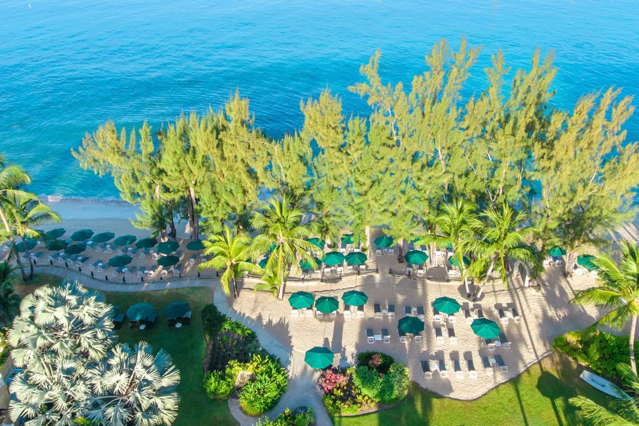 Coral Reef Club