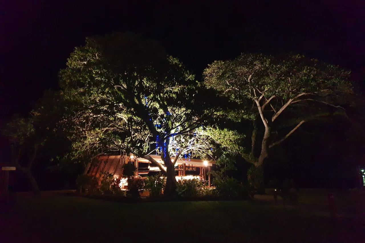 Coral Sea Resort & Casino — ภาพห้องพักและบรรยากาศ