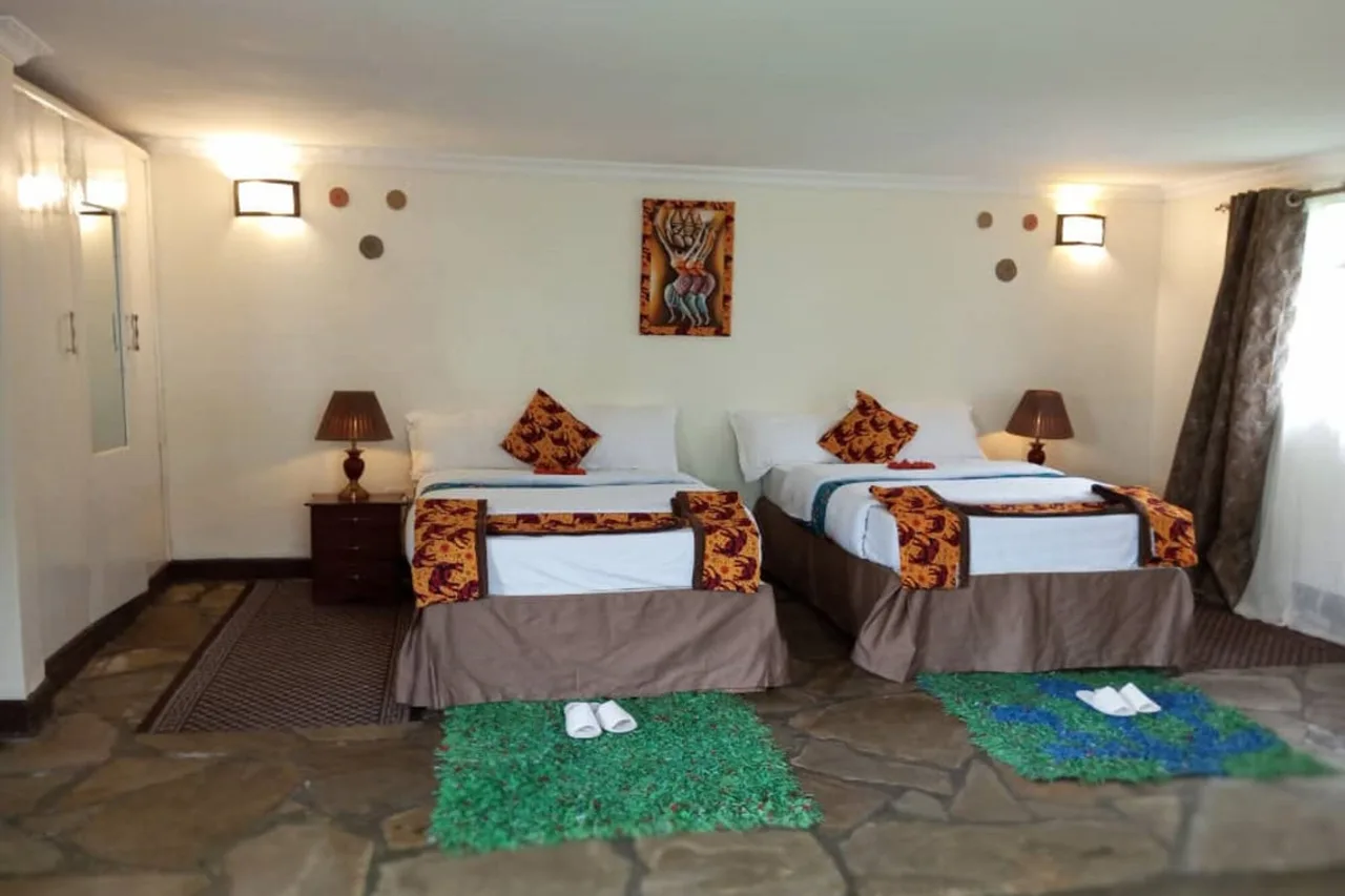 Da Vinci Gorilla Lodge — ภาพห้องพักและบรรยากาศ