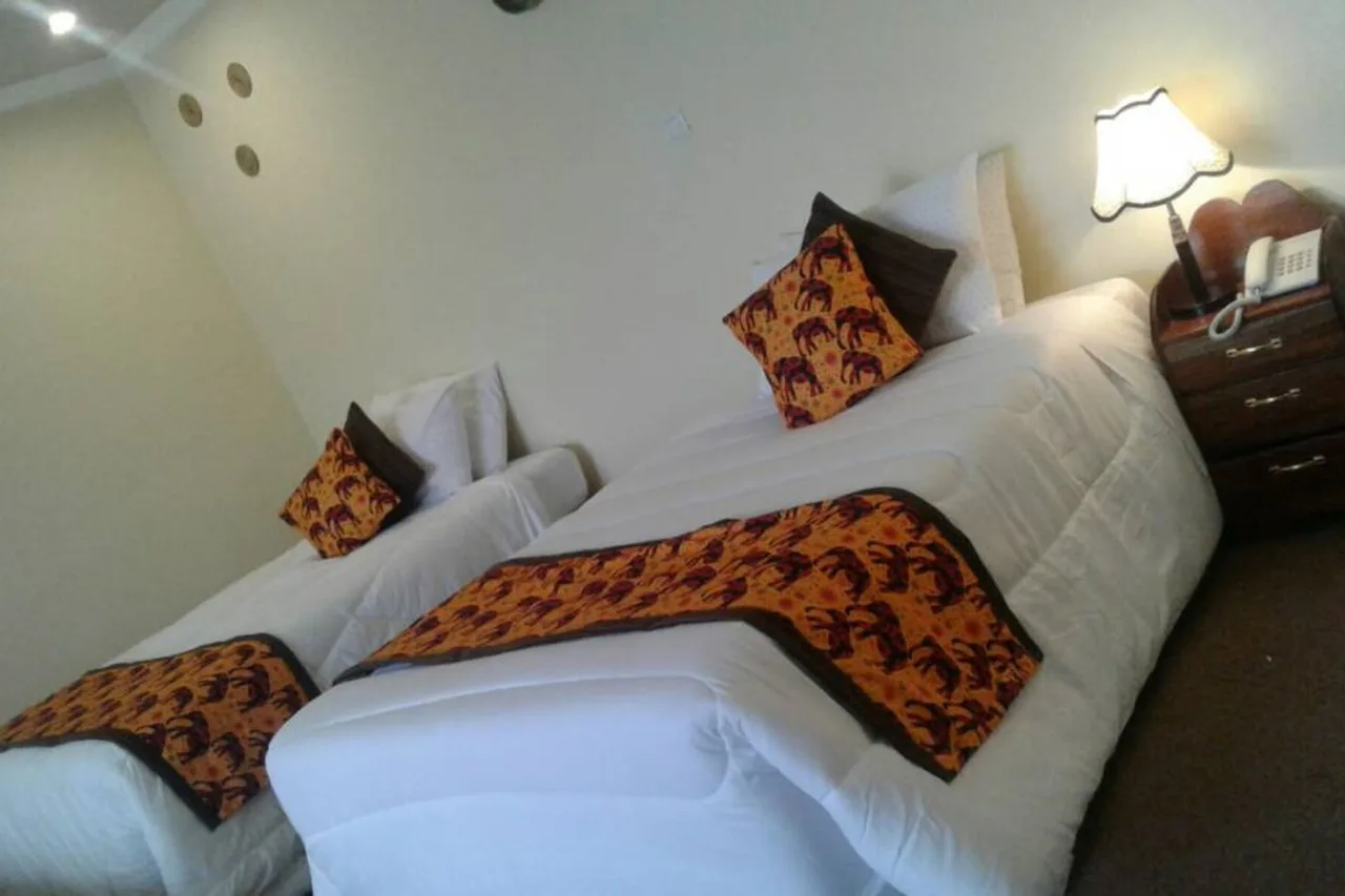 Da Vinci Gorilla Lodge — ภาพห้องพักและบรรยากาศ