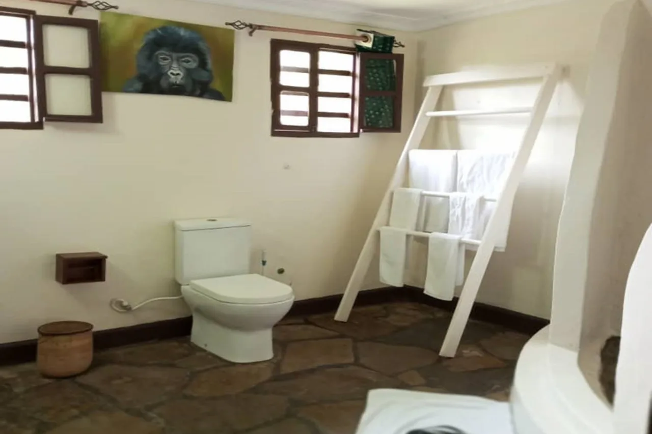 Da Vinci Gorilla Lodge — ภาพห้องพักและบรรยากาศ