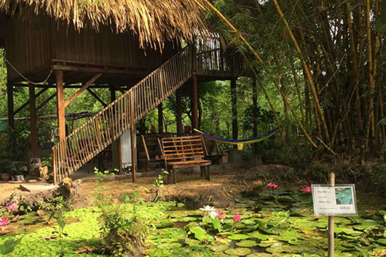 DaTerra Baucau Agroecological Farm Stay — ภาพห้องพักและบรรยากาศ