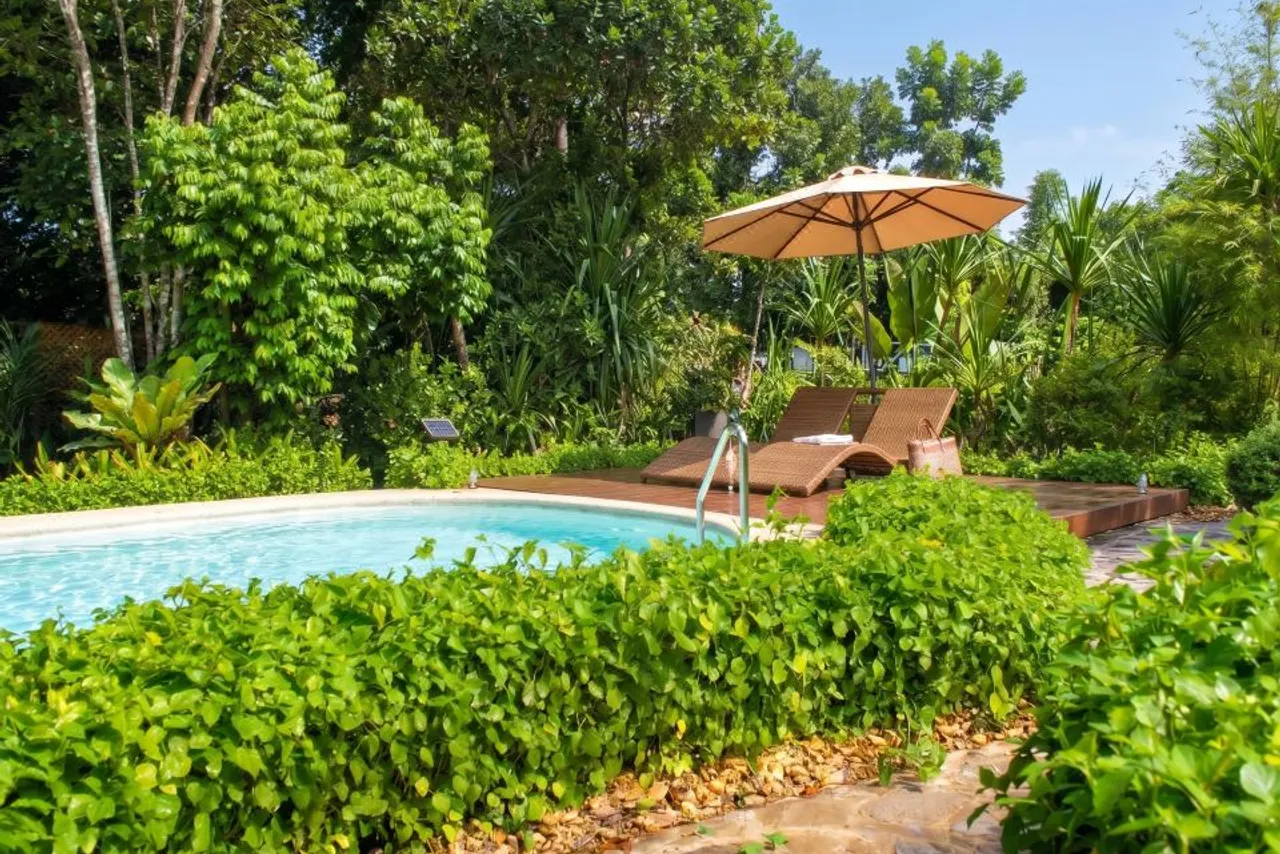 Donatela Resort and Sanctuary — ภาพห้องพักและบรรยากาศ