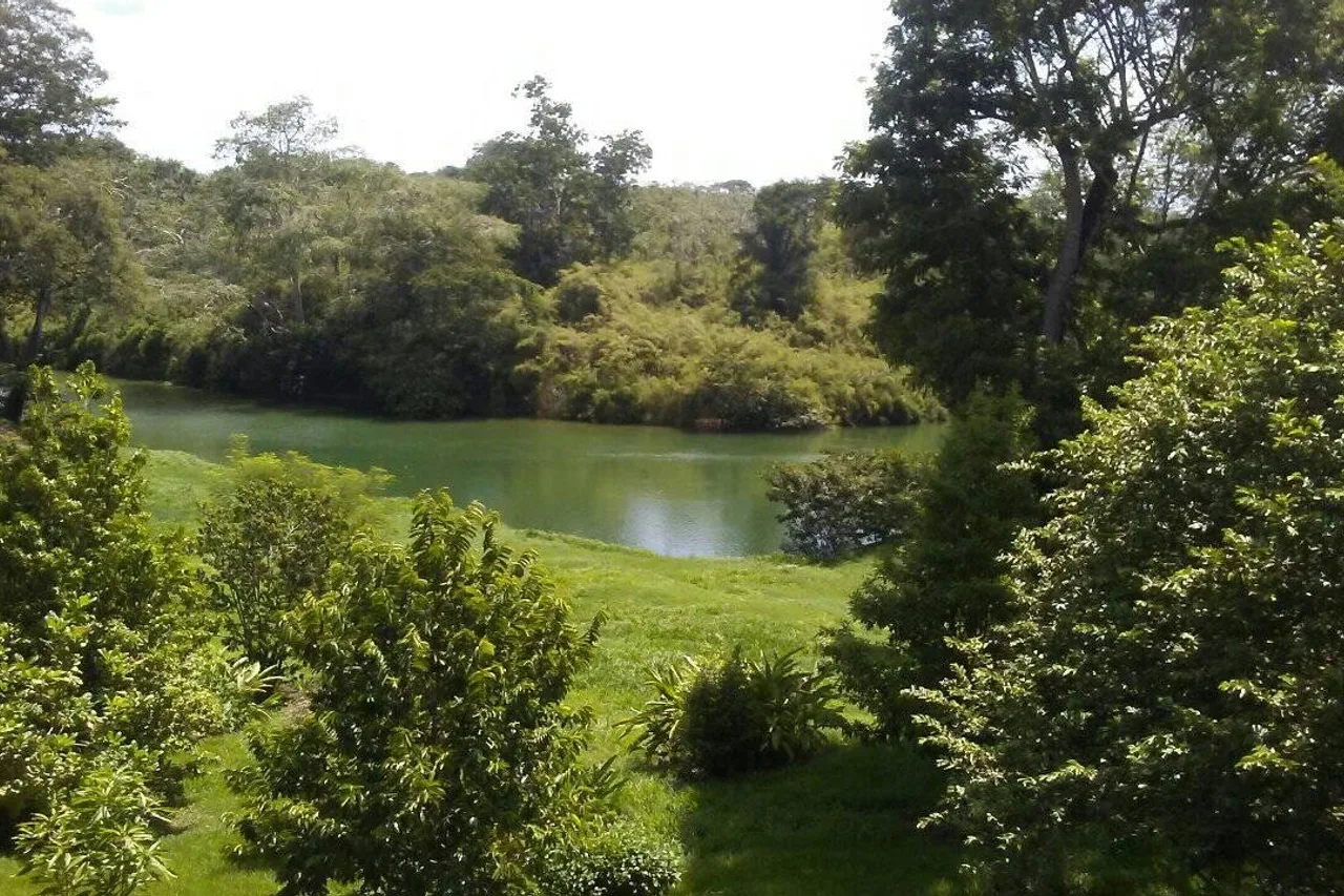 Dream Valley Belize — ภาพห้องพักและบรรยากาศ