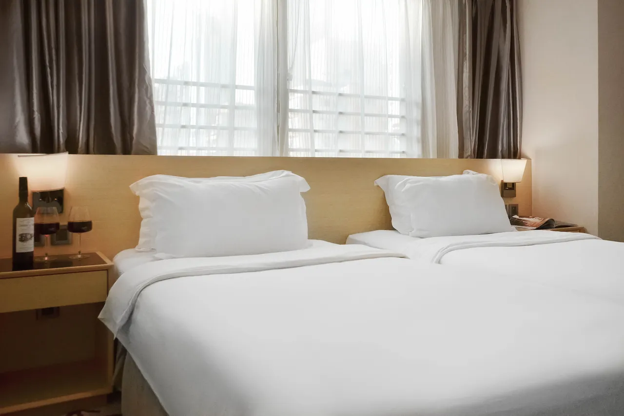 Eco Tree Hotel Sheung Wan — ภาพห้องพักและบรรยากาศ