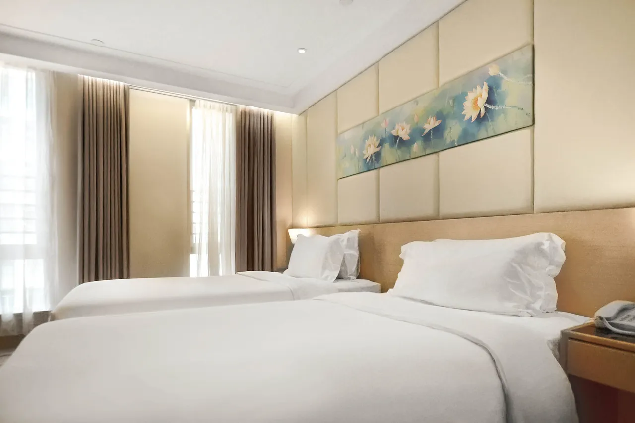 Eco Tree Hotel Sheung Wan — ภาพห้องพักและบรรยากาศ