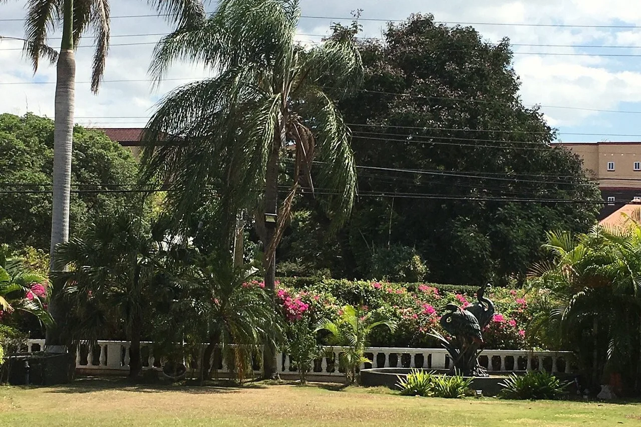 Eden Gardens Wellness Resort &amp; Spa — ภาพห้องพักและบรรยากาศ