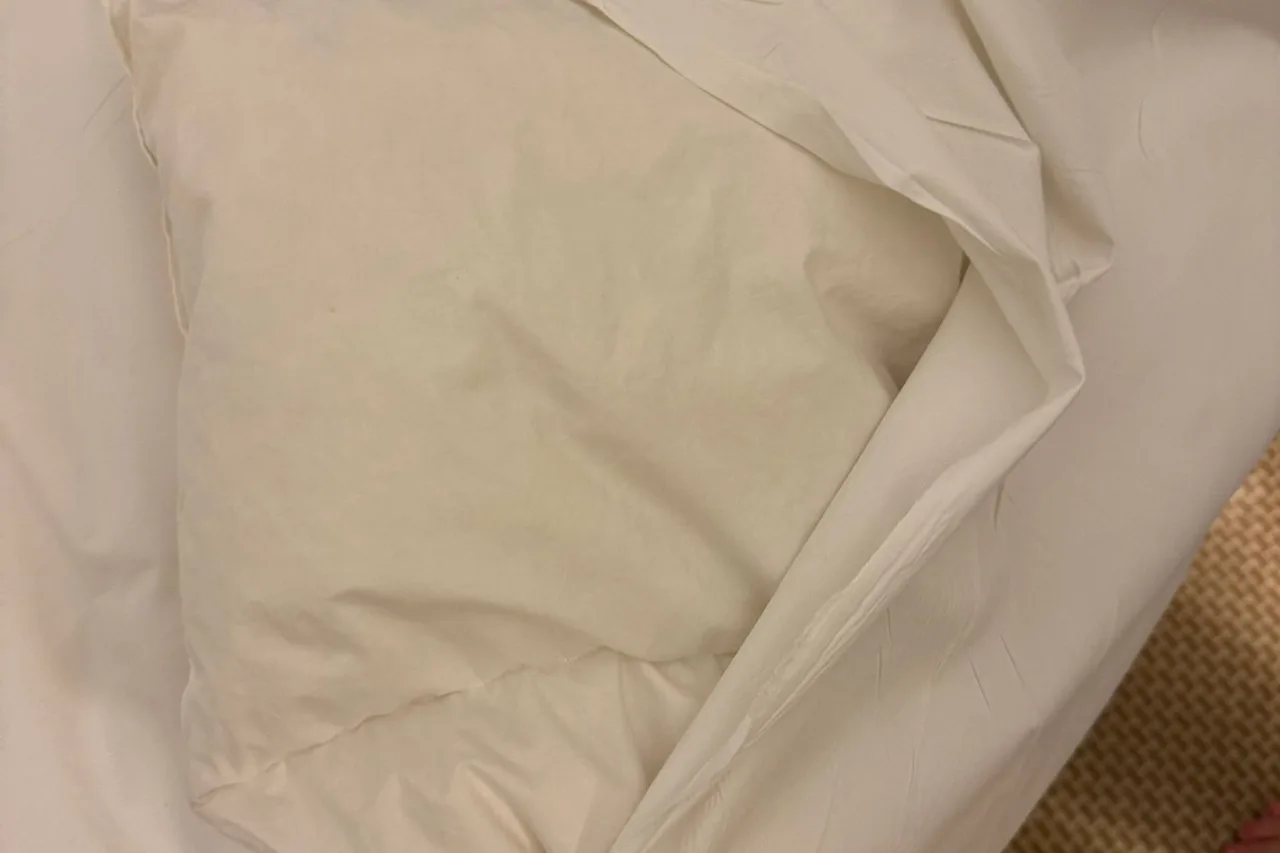 El Aurassi Hotel — ภาพห้องพักและบรรยากาศ
