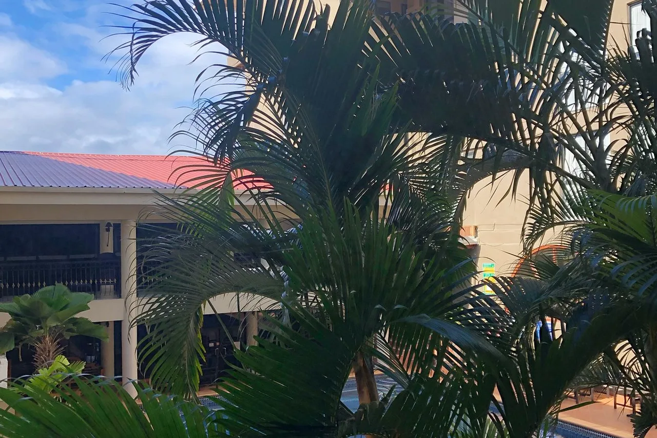 Ela Beach Hotel and Apartments — ภาพห้องพักและบรรยากาศ