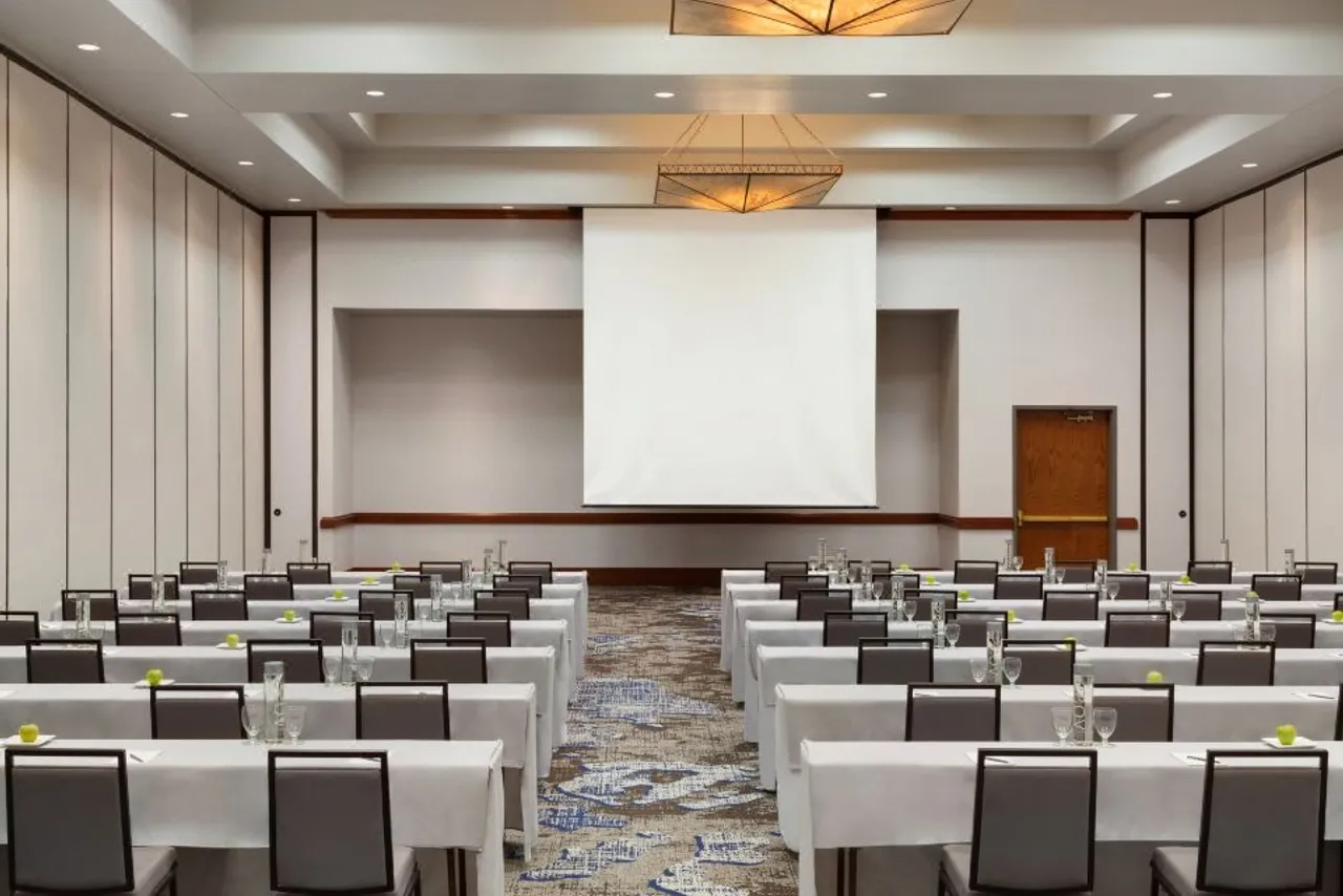 Embassy Suites by Hilton Grapevine DFW Airport North — ภาพห้องพักและบรรยากาศ