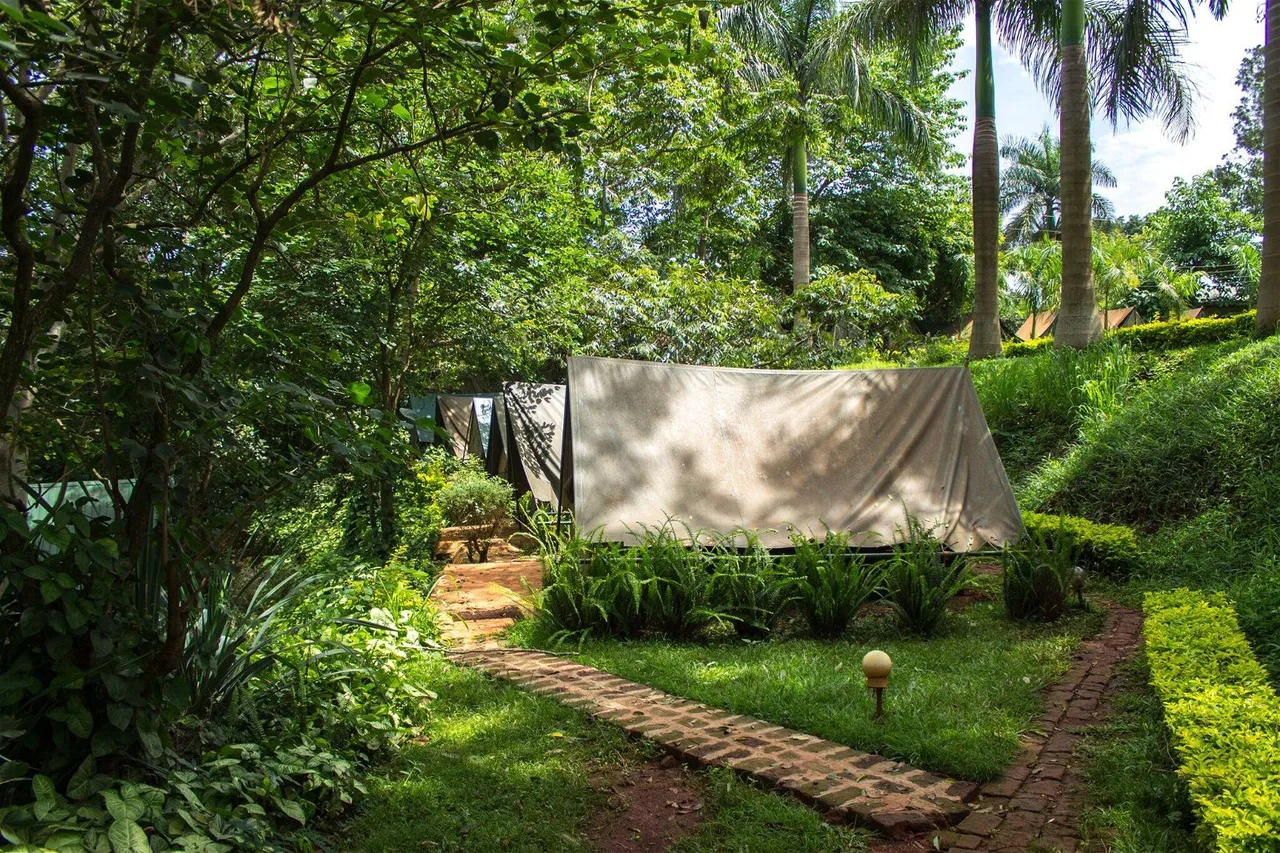 Explorers River Camp — ภาพห้องพักและบรรยากาศ